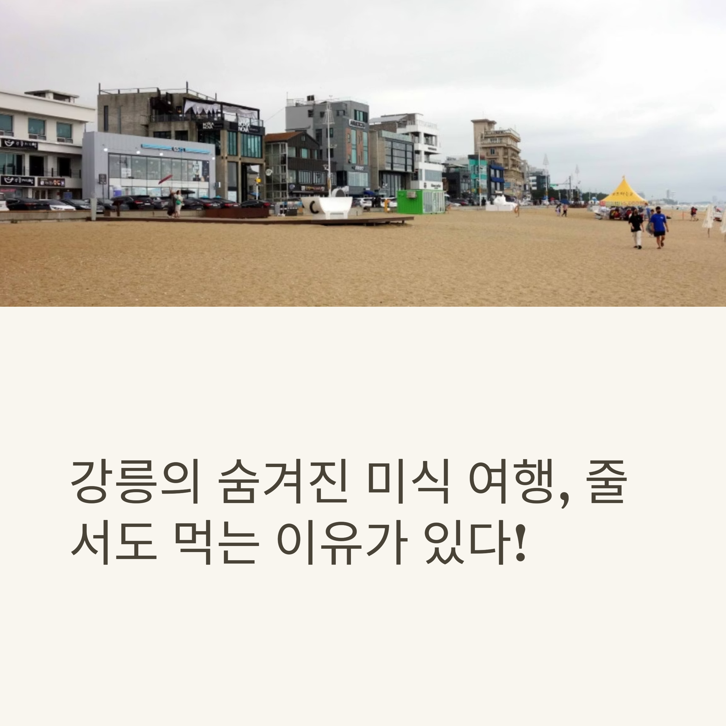 강릉의 숨겨진 미식 여행, 줄서도 먹는 이유가 있다!