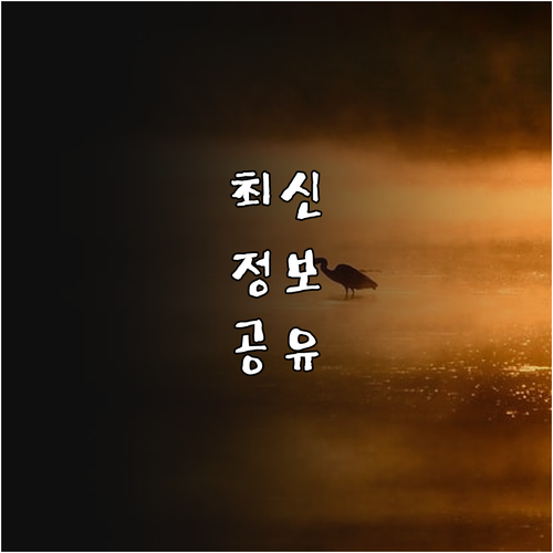 2025 창원시민이라면 꼭 알아야 할..