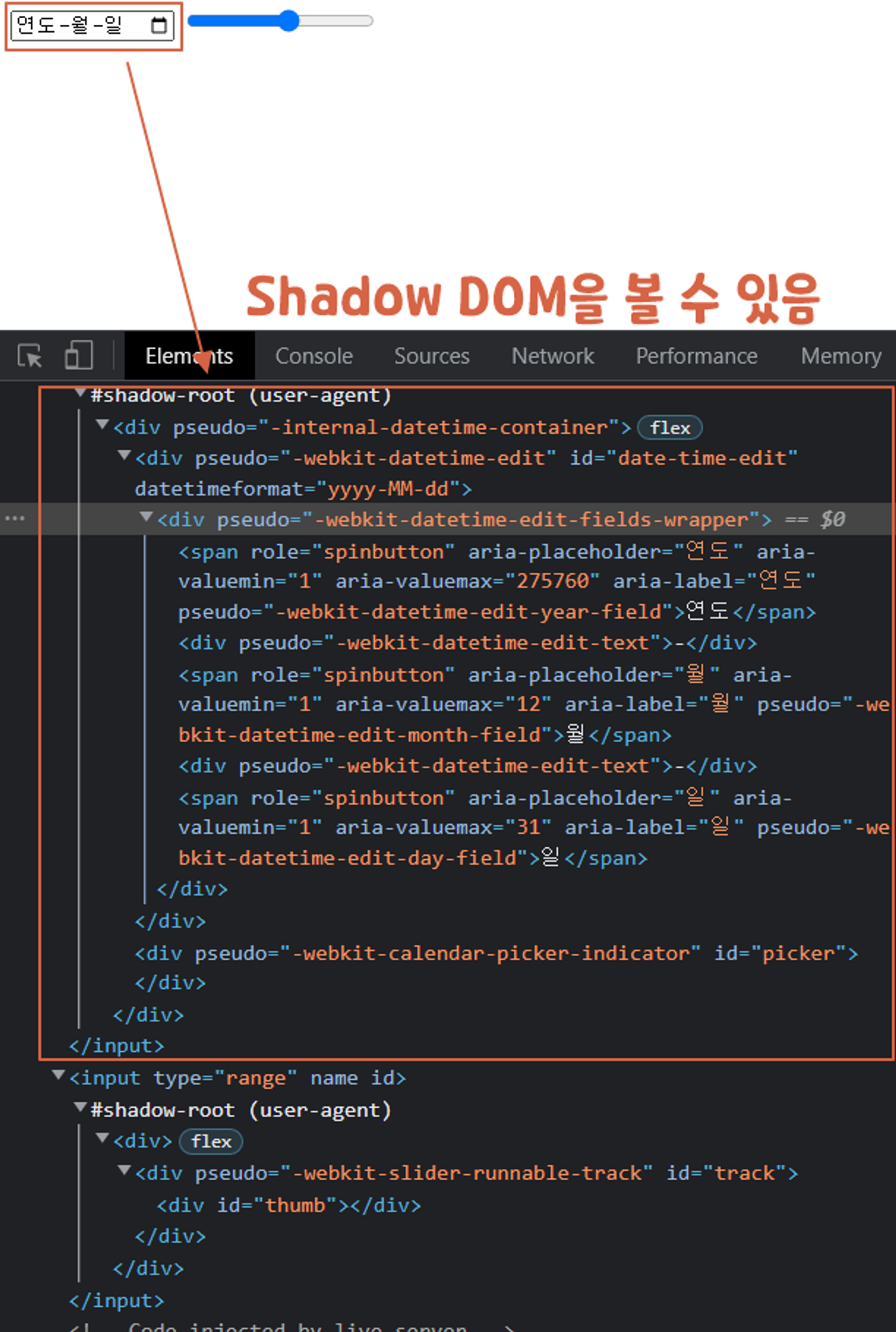 Shadow DOM이 보이는 모습