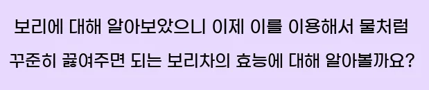  보리에 대해 알아보았으니 이제 이를 이용해서 물처럼 꾸준히 끓여주면 되는 보리차의 효능에 대해 알아볼까요?