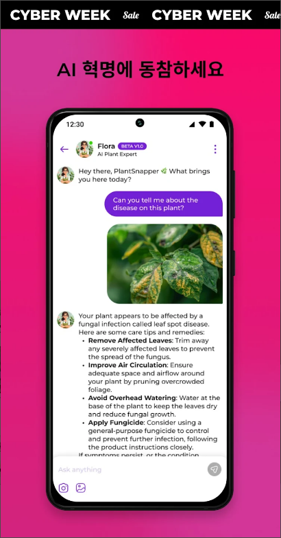 핸드폰으로 식물 이름 찾기 어플, 사진으로 꽃, 잎, 나무, 버섯 검색하기