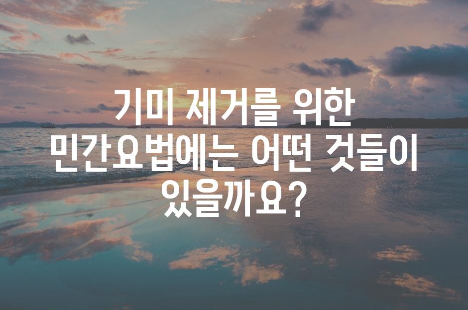 샘플 (81)