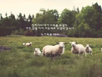 매일성경묵상과 사명(누가복음 10장 1-24절) 칠십 인의 제자를 파송하신 예수님_28