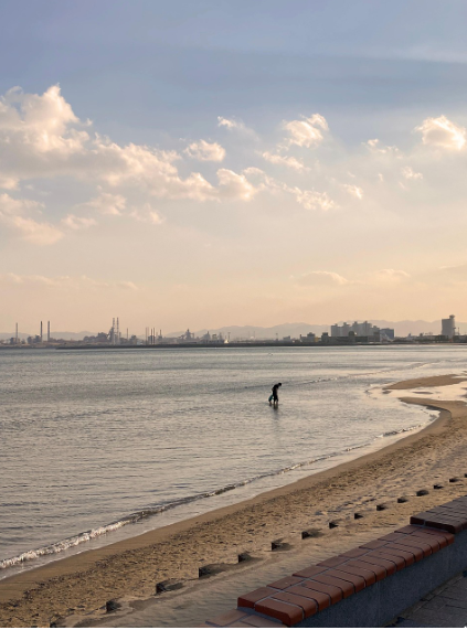 포항 해변 사진