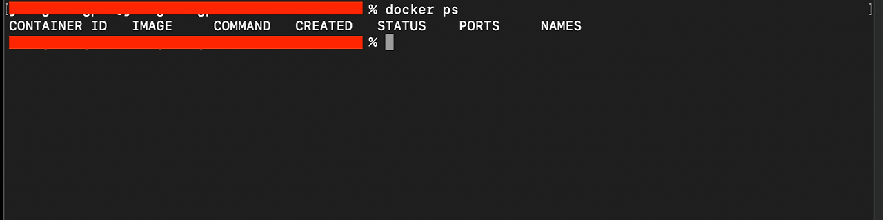 현재 실행중인 도커 컨테이너
