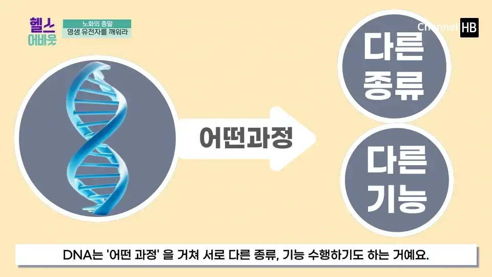 일본 NMN 영양제