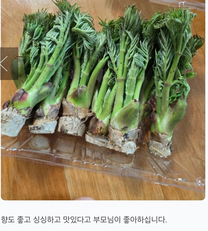 극한직업-고흥-참두릅-