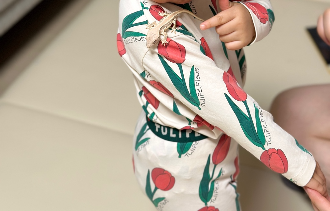 우리집-둘째-딸과-놀고있는-크레