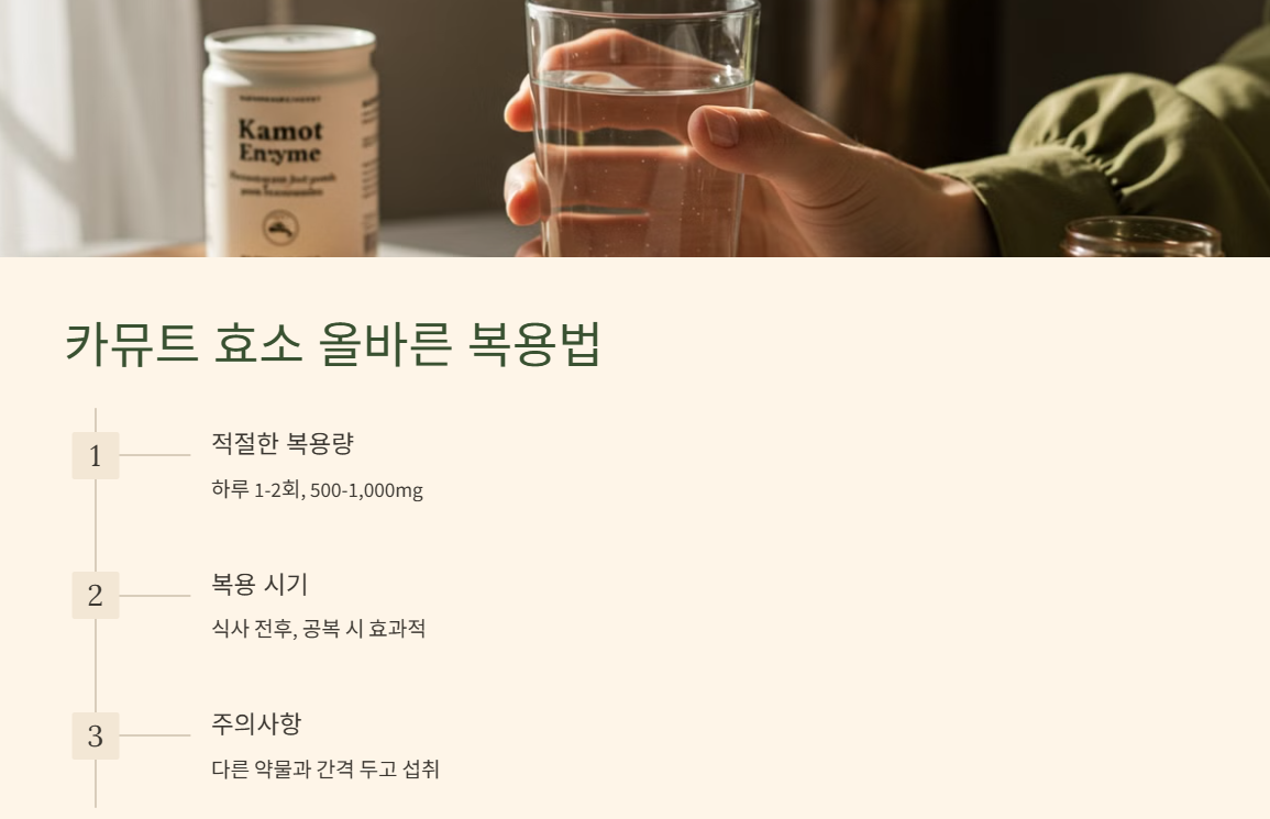 카뮤트 효소 올바른 복용법(먹는법)