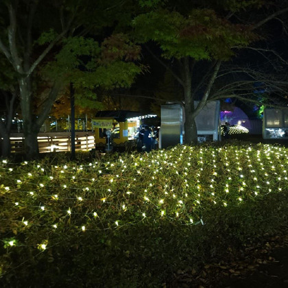 경주 월영야행 완벽 가이드 &amp;#124; 2025년 야간 문화유산 탐방