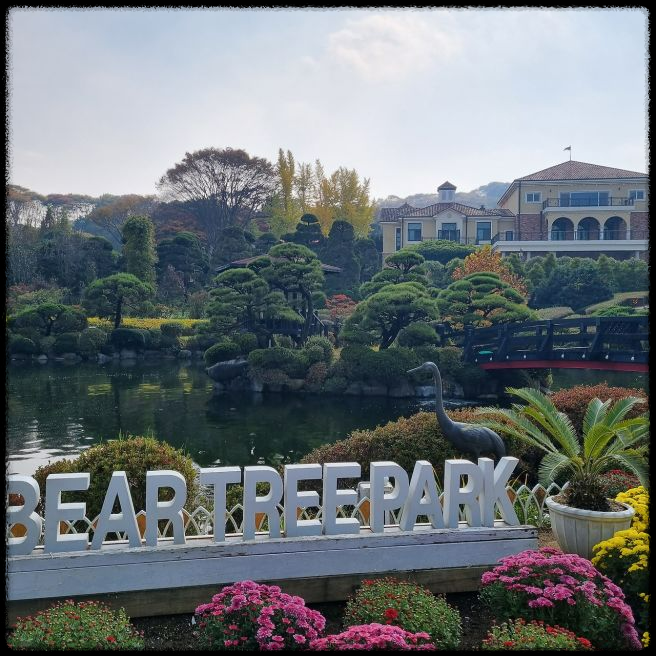 세종 베어트리 파크 단풍축제 - 입장료 싸게 사는 꿀팁