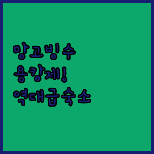 대만 여행 필수 코스 용캉제 망고빙수..