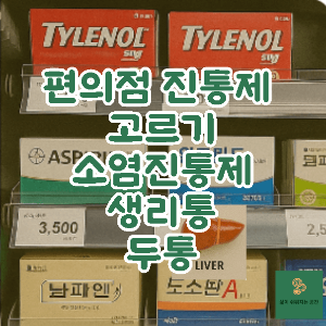 편의점 진통제