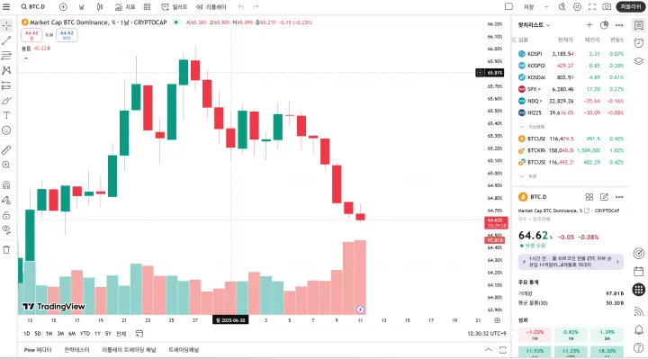 비트 도미넌스 보는 법