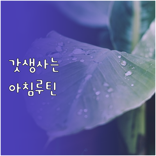 아침 루틴: 생산성을 높이는 개인 맞..