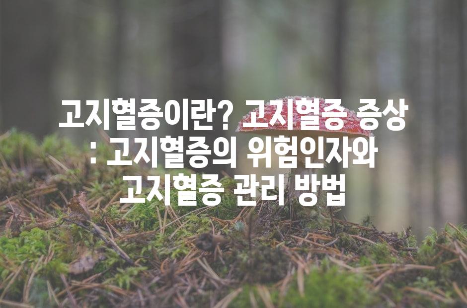 샘플 (42)