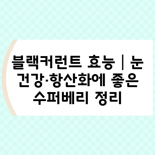 블랙커런트 효능│눈 건강·항산화에 좋은 수퍼베리 정리
