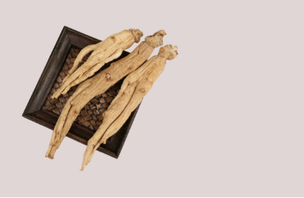 홍삼 건강기능식품 후기