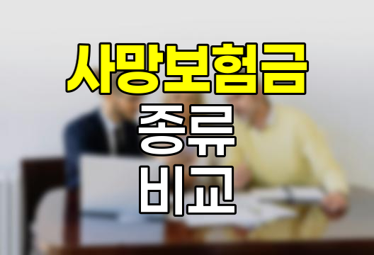 사망보험금 종류와 보험사별 가격 비교 분석