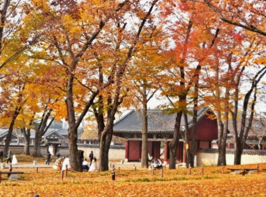 가을-여행하기-좋은-곳-추천