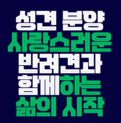성견_분양
