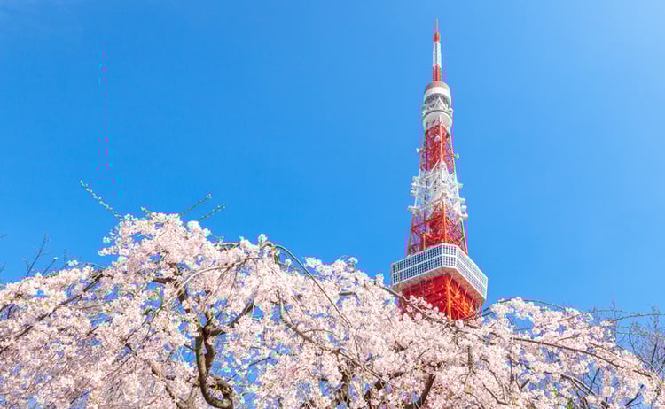 도쿄타워 전망대 입장료