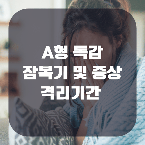 A형 독감 잠복기 및 증상 격리기간 알아보기