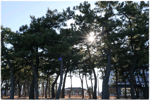 사천해변