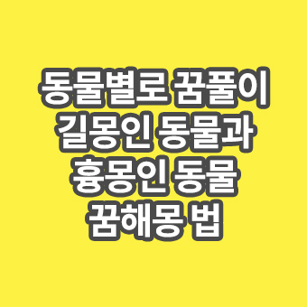 동물별 꿈풀이 해몽법