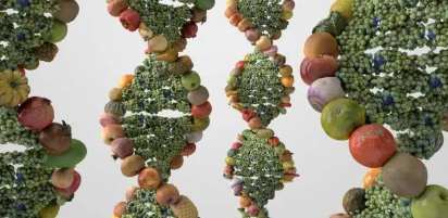 근육량을 유지하면서 체지방만 줄이는 다이어트 전략