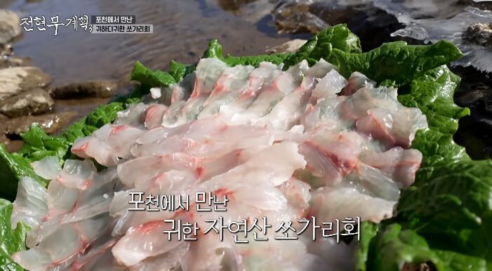 전현무계획3-포천-쏘가리회