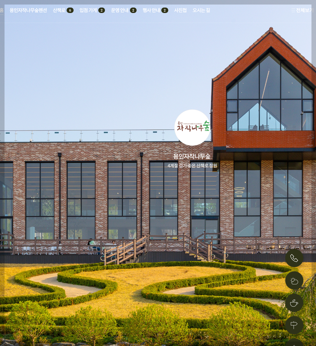 용인자작나무숲 카페 봄꽃페스티벌 입장료 등 3분 총정리