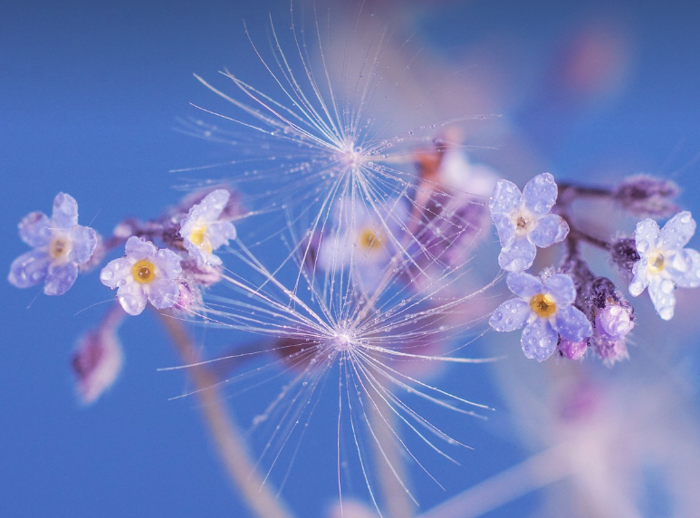 봄 드라이브 vs 도보 여행, 어떤 게 더 좋을까?