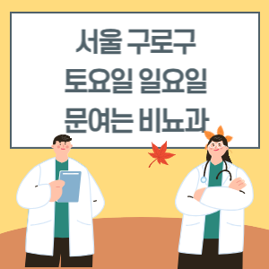 서울 구로구 토요일 일요일 비뇨기과 진료 병원 리스트