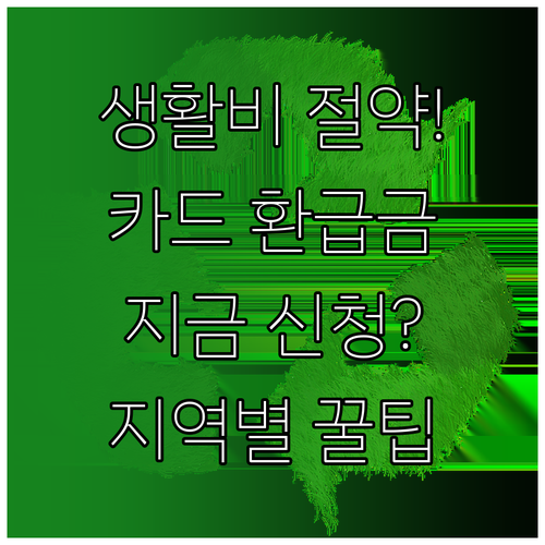생활비 아끼는 모두의 카드 환급 신청..
