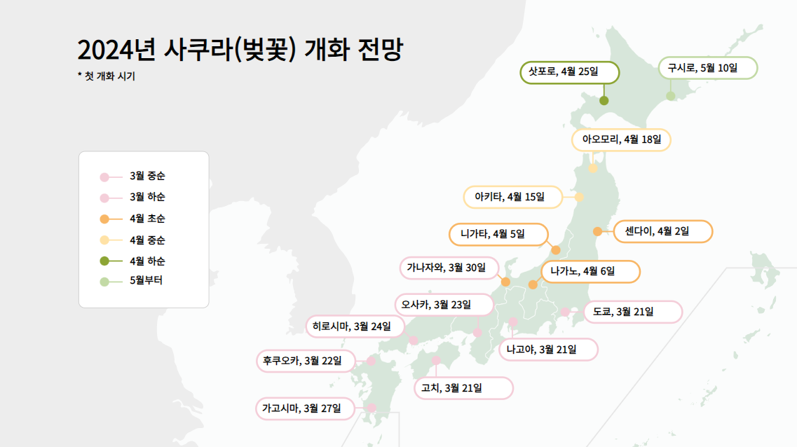 3월 아고다 호텔 할인코드 + 후쿠오카 벚꽃 여행 추천