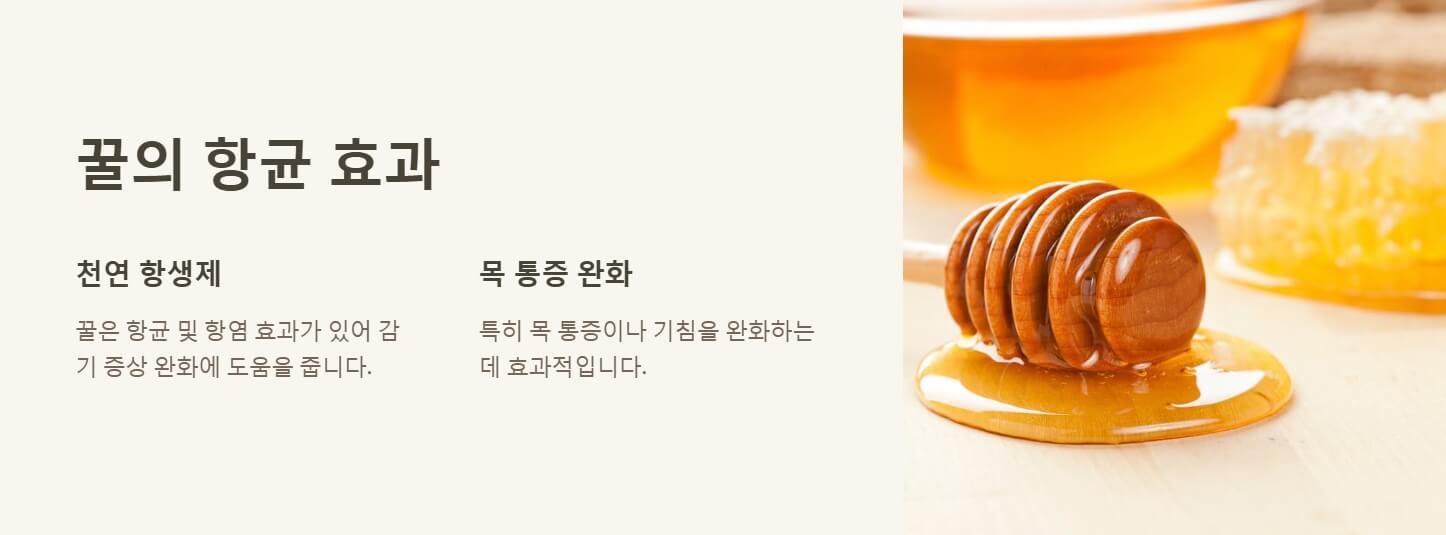 감기몸살에 좋은 음식