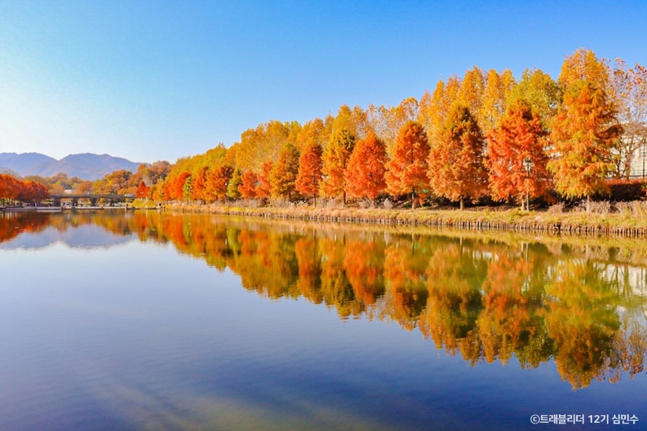 담양 가볼만한곳 베스트10