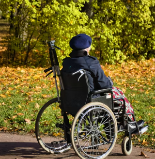 알츠하이머병 증상 원인 예방 가이드북