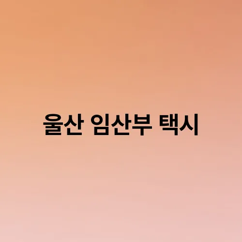 울산 임산부 택시