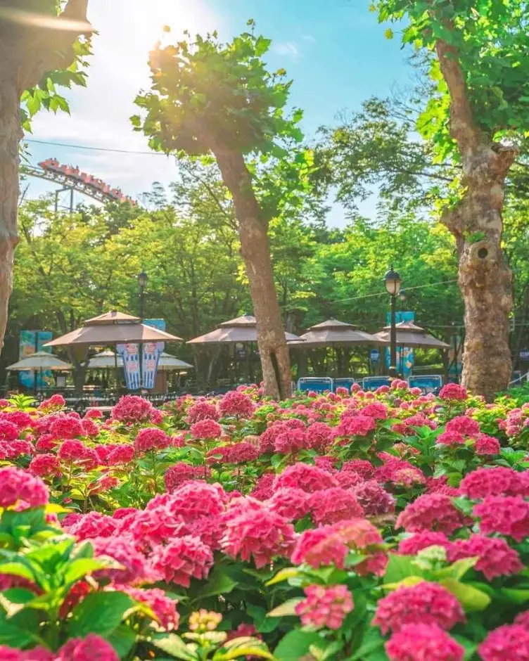 이월드 블루밍가든