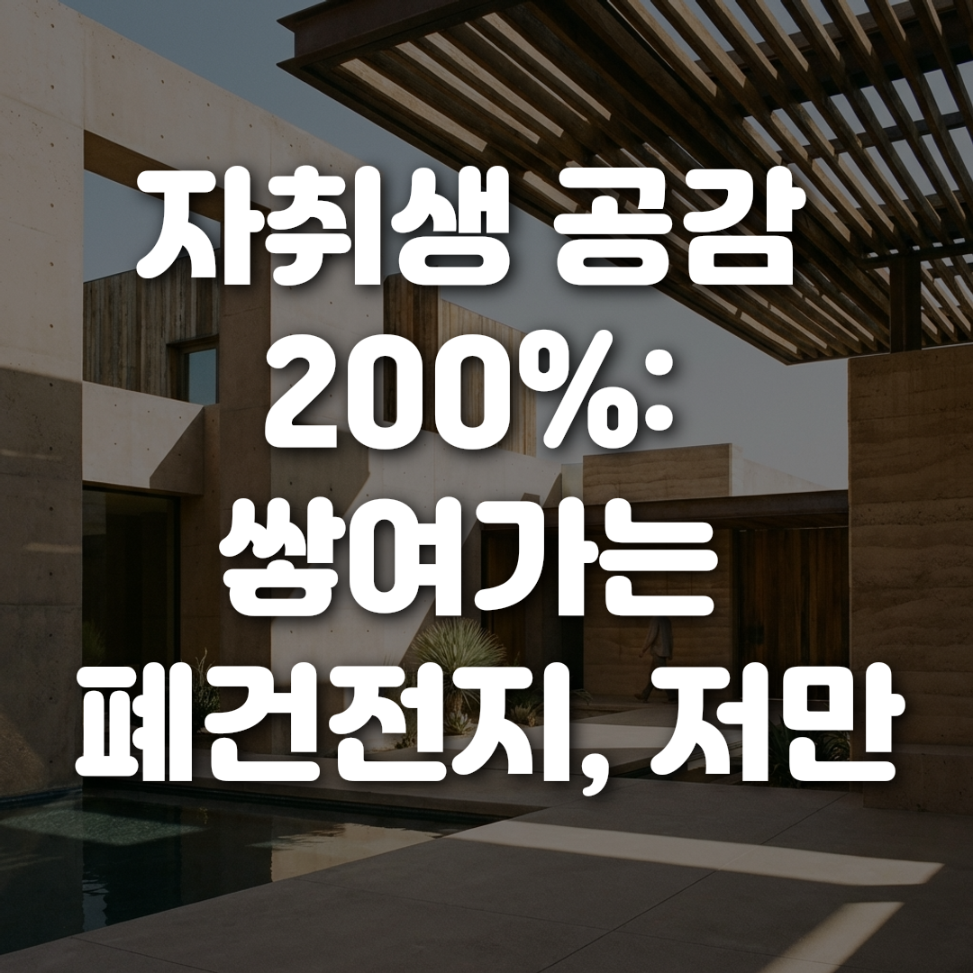 자취생 공감 200 쌓여가는 폐건전지 저만 그런가요