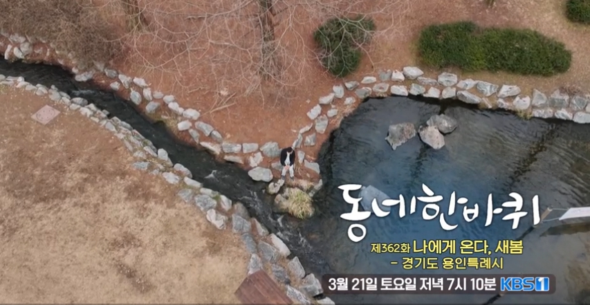 동네한바퀴 용인