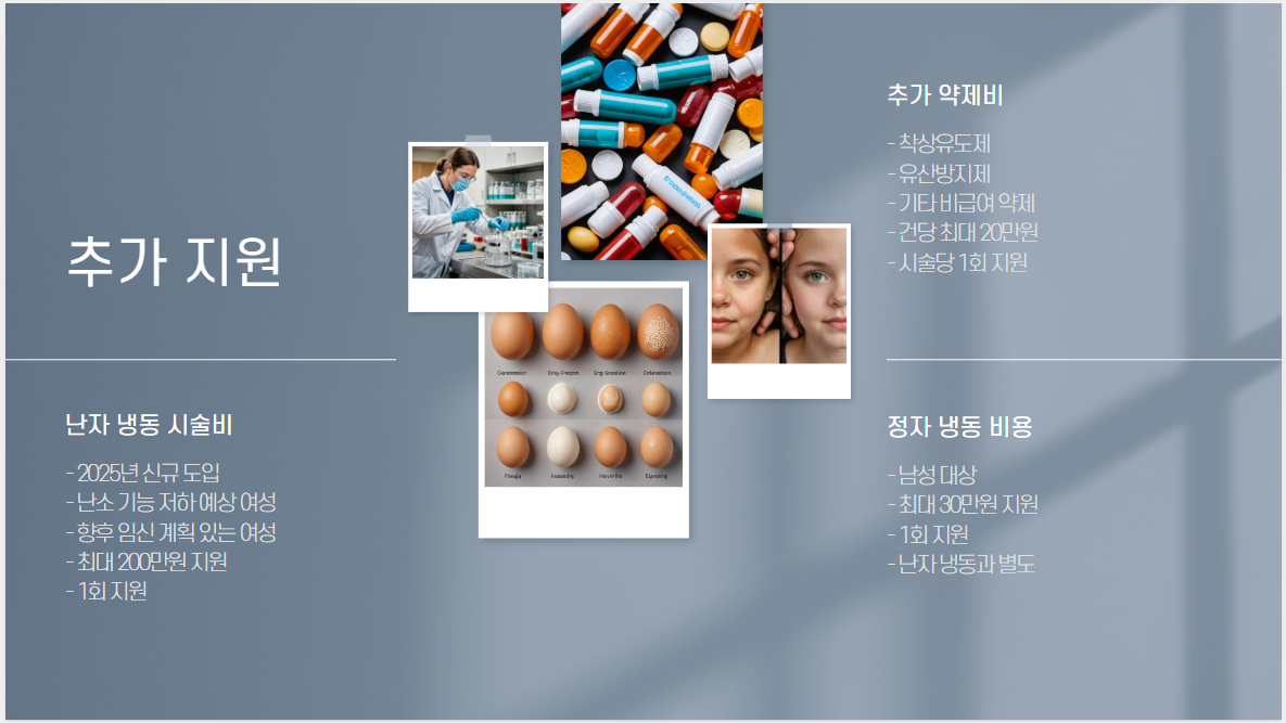 결혼지원금 및 난임부부 시술비 지원