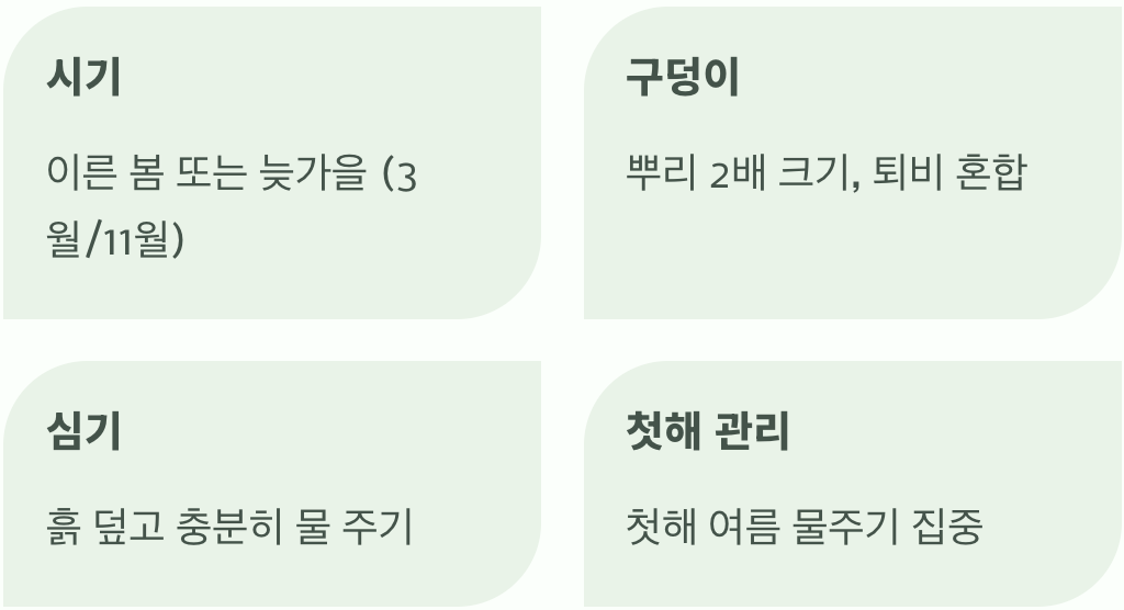 성공적인 첫걸음&amp;#44; 옮겨 심기