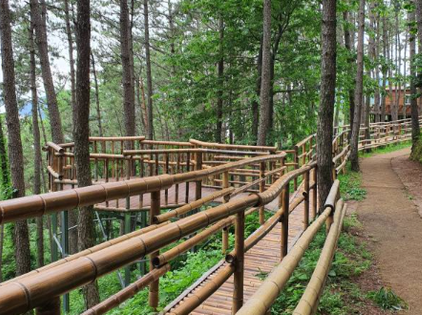 거제 맹종죽테마공원