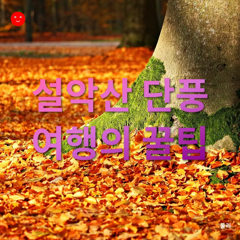 설악산 단풍_3