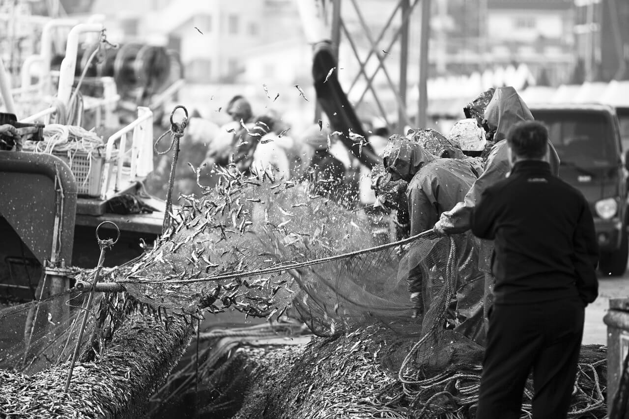 화가 정현웅의 작품 <부산풍경>