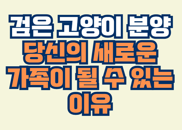 검은_고양이