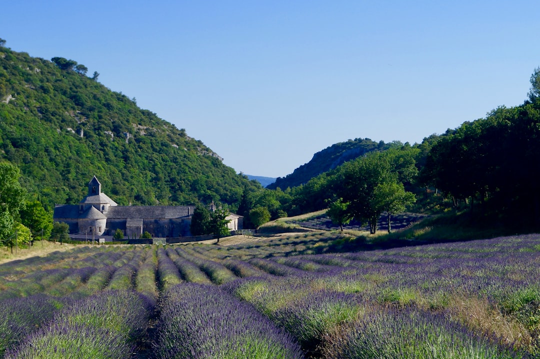 Provence